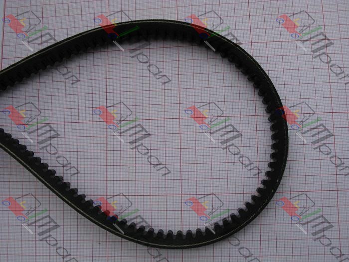 AV13x1119 Ремень клиновой AV13х1119 (TRP)